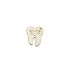 Figurina Dintisor Blank - 40x33 mm