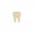 Figurina Dinte Blank - 40x31mm