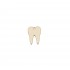 Figurina Dinte Blank - 30x23mm