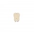 Figurina Dinte Blank - 30x22mm