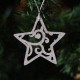 Ornament Brad - Stea