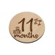 Set 13 Placute Baby Milestones EN