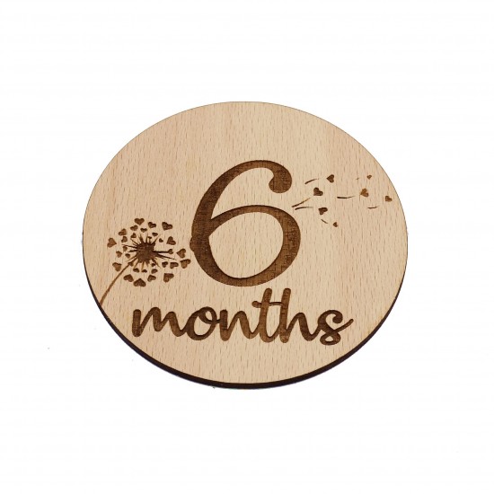 Set 13 Placute Baby Milestones EN
