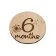 Set 13 Placute Baby Milestones EN