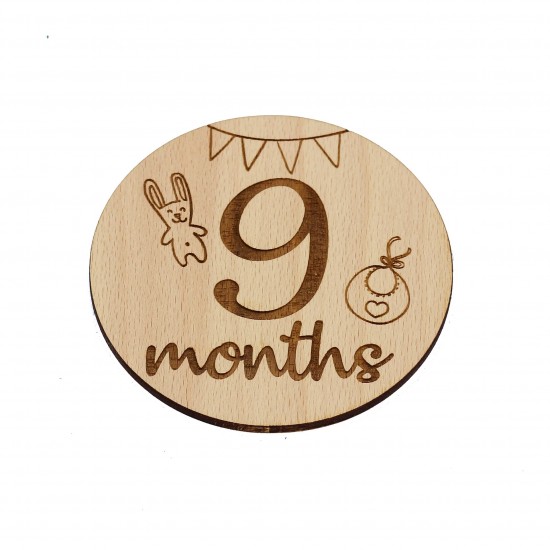 Set 13 Placute Baby Milestones EN