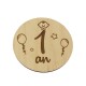 Set 13 Placute Baby Milestones