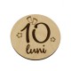 Set 13 Placute Baby Milestones