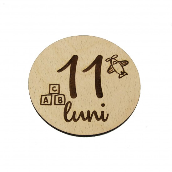Set 13 Placute Baby Milestones