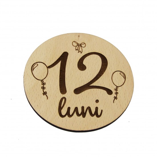 Set 13 Placute Baby Milestones
