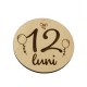 Set 13 Placute Baby Milestones