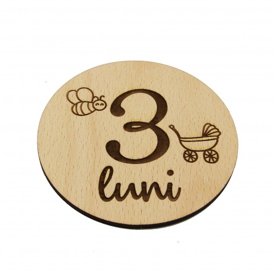 Set 13 Placute Baby Milestones