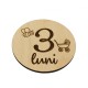 Set 13 Placute Baby Milestones