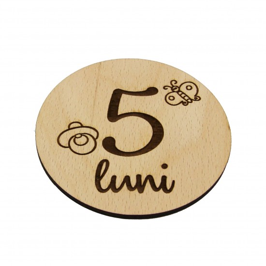 Set 13 Placute Baby Milestones