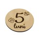 Set 13 Placute Baby Milestones