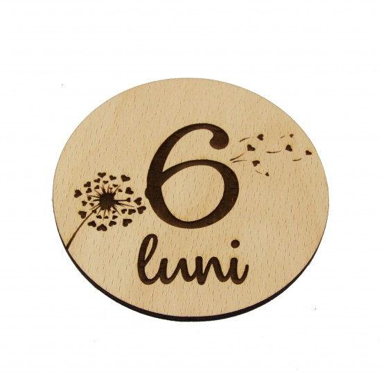 Set 13 Placute Baby Milestones