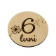 Set 13 Placute Baby Milestones