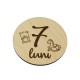 Set 13 Placute Baby Milestones