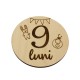 Set 13 Placute Baby Milestones