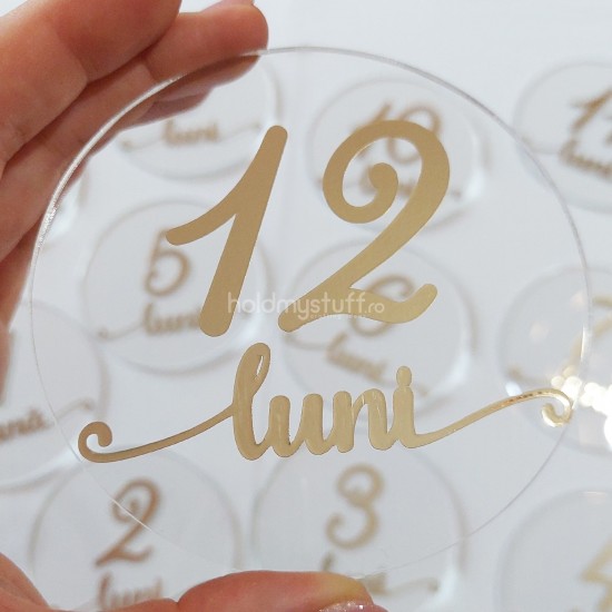 Set 12 Placute Baby Milestones din Acril