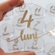 Set 12 Placute Baby Milestones din Acril