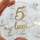Set 12 Placute Baby Milestones din Acril