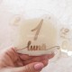 Set 12 Placute Baby Milestones din Acril - Vopsite