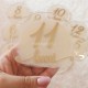 Set 12 Placute Baby Milestones din Acril - Vopsite