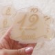 Set 12 Placute Baby Milestones din Acril - Vopsite