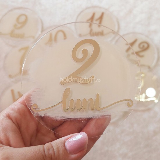 Set 12 Placute Baby Milestones din Acril - Vopsite