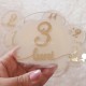 Set 12 Placute Baby Milestones din Acril - Vopsite