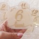 Set 12 Placute Baby Milestones din Acril - Vopsite