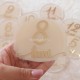 Set 12 Placute Baby Milestones din Acril - Vopsite