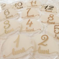 Set 12 Placute Baby Milestones din Acril - Vopsite