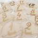 Set 12 Placute Baby Milestones din Acril - Vopsite